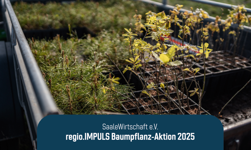 SaWi – regio.IMPULS Baumpflanz-Aktion 2025